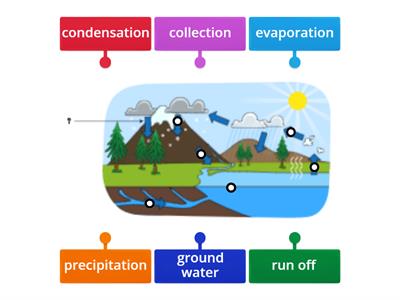 water cycle 