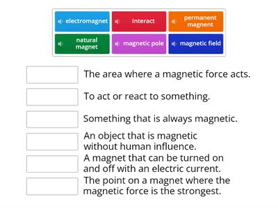Magnetic Force Vocabulary 