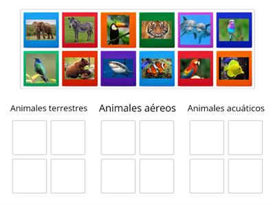 ANIMALES