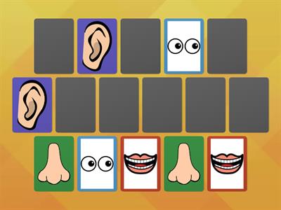Body Parts Memory Game