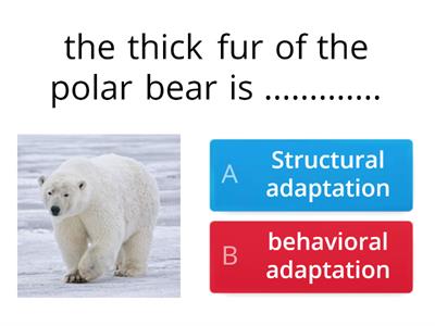 types Adaptation in animals