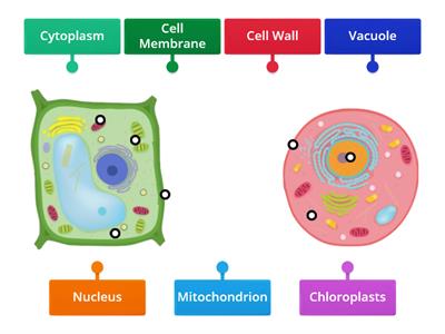 Label Cell Parts