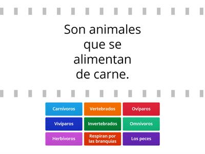 Los animales 