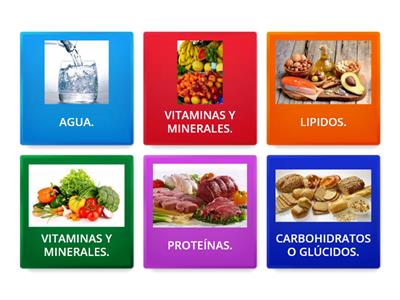 ¿Qué nutrientes están presentes en nuestros alimentos?