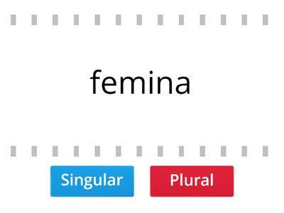 De Romanis ch1 singular / plural p29