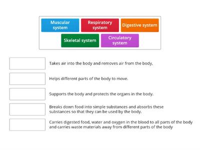 Identify the body systems