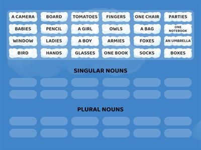 SINGULAR-PLURAL NOUNS