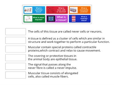 9th class science biology chapter 6 -- tissues --- sumit GAME 1