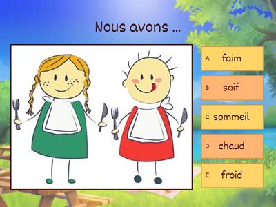 Beginner 2 LESSON 8 expressions avec avoir 