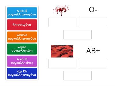 Ομάδες αίματος  Ο-/ΑΒ+