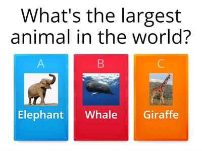  Animal facts (superlative adjectives)