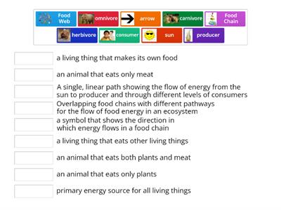 RW: Food Chain/ Web Vocabulary