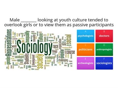 Feminist views of youth cultures