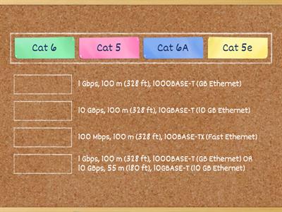 Cat Cable Standards