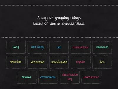 Year 6 Living Things - Key Vocabulary