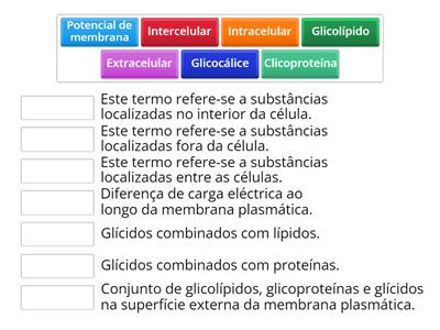 Mambrana Plasmática