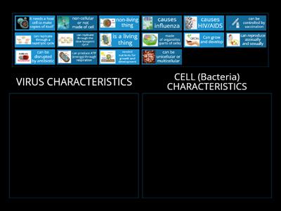 BR13: 5P Virus VS Cell (Bacteria) Characteristics 