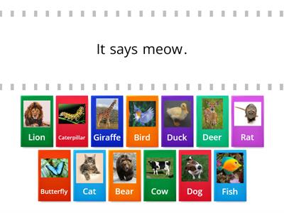 animals in english