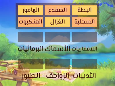 مجموعات الحيوانات