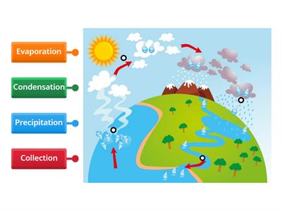 Water cycle