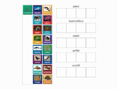 Classifica gli animali by m. Enryka