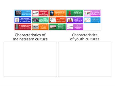 Characteristics of mainstream/youth culture 