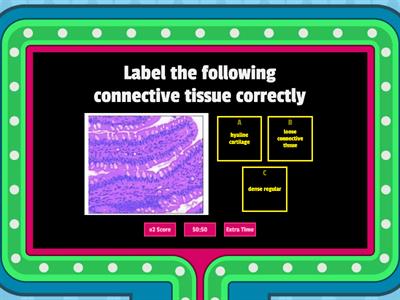 Epithelial and Connective Tissues shortened