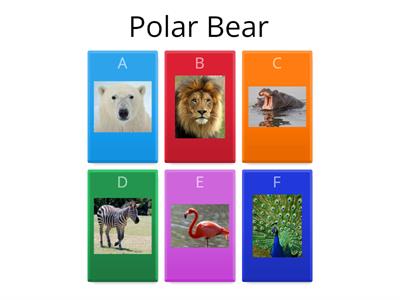 Polar Bear, Polar Bear, What Do You Hear?