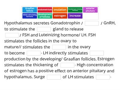 Discuss how feedback mechanism regulates menstrual cycle.