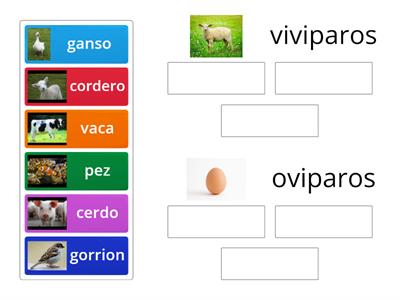 animales oviparos y viviparos