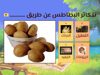 التكاثر واستمرارية النوع