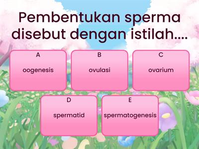 Quizz Sistem Reproduksi Pertemuan 1 (By Ms. Meri Krista) 