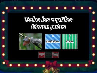 Reptiles, anfibios y peces.