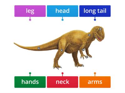 Label the dinosaur