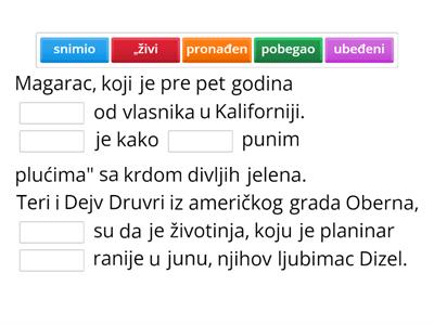 Serbian 902 - Odbegli Magarac, Verbs & Adjectives