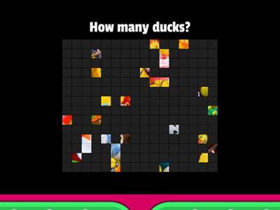 RBS - Maths- How many ducks?