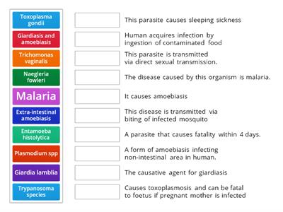 C12. Medical Protozoology (1) - Protozoa & Disease