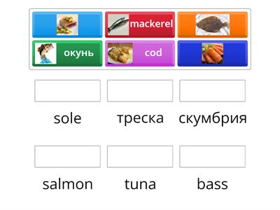 types of fish