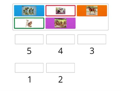 Μέτρα  πόσα ζώα υπάρχουν σε κάθε εικονίδιο και σύρε το δίπλα στο σωστό αριθμό.