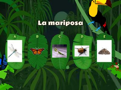 Los insectos en español