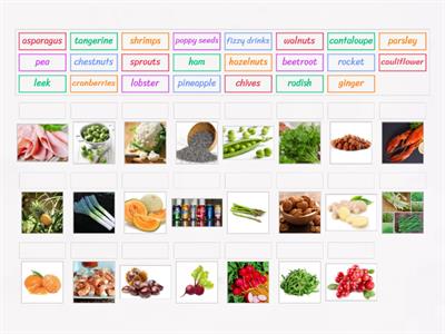 food vocabulary