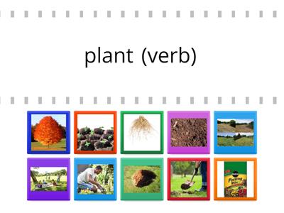 Vocabulary Nature for New MN