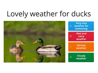 Weather idioms quiz