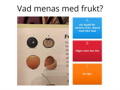 Naturen på hösten