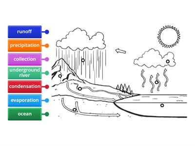  water cycle