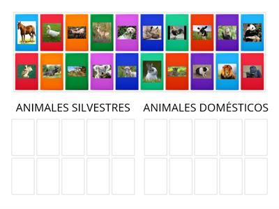 ANIMALES SILVESTRES Y DOMÉSTICOS