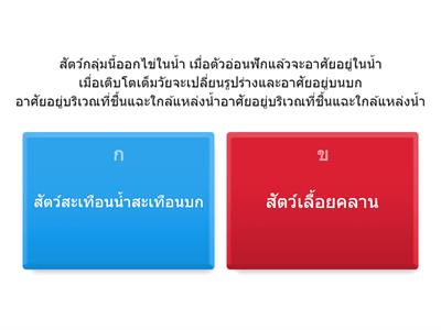 วิทย์ ป4 สัตว์ ตอนที่ 2