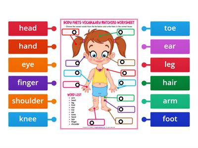 1A Ch.6 Body parts: Labelling 2