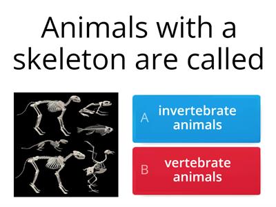vertebrate and invertebrate animals 