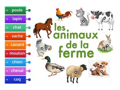 Les animaux